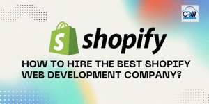 How To Hire The Best Shopify Web Development Company?