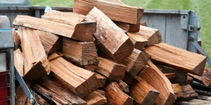 The Benefits of Bulk Firewood Delivery for Adelaide Residents