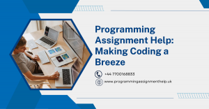 Programming Assignment Help: Making Coding a Breeze