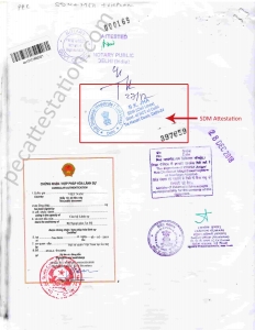 Ensuring Your Educational Documents for Study Abroad: The Role of SDM Attestation