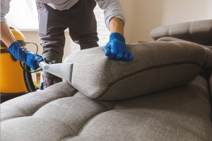 Upholstery Cleaning Services in Oceanside: Comprehensive Care for Your Furniture