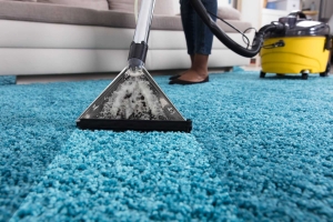 How Carpet Cleaning Services Can Enhance Your Home’s Appearance