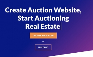 Transform Your WordPress Site with Our Powerful Auction Plugin