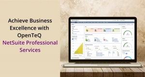 Achieve Business Excellence with OpenTeQ NetSuite Professional Services