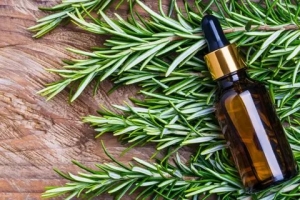 Best Rosemary Oil for Hair Fall in Pakistan: A Comprehensive Guide