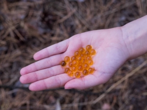 Personalized Exosome Therapy Plans in Abu Dhabi