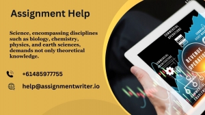 How Assignment Help Can Enhance Your Grades