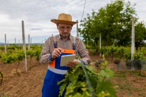 Blockchain in Agriculture: Paving the Way for Unbreakable Farm-to-Fork Traceability