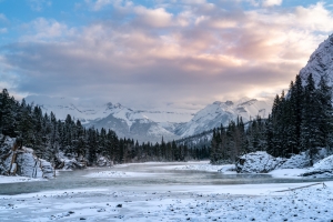 Kashmir Winter