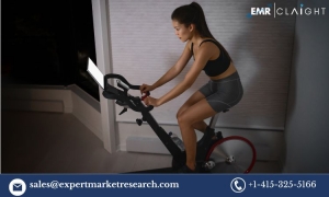 Home Exercise Bike Market Outlook 2024-2032: Growth, Trends, and Key Players