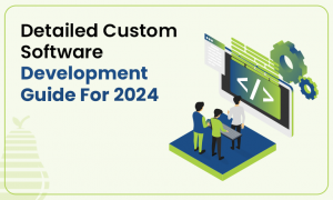 Custom Software Development – An Ultimate Guide For 2024