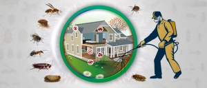 Why Residential Pest Control Services Is So Important