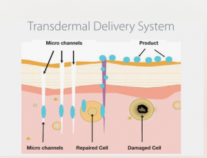 Transdermal Drug Delivery System Market Demand and Opportunities Market Research Report 2031