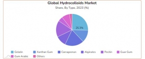 Hydrocolloids Market Size Analysis, Key Trends, Growth Opportunities, Challenges and Key Players by 2031