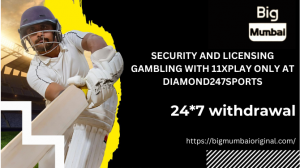 Secure Your Cricket Sports ID Now With online cricket id