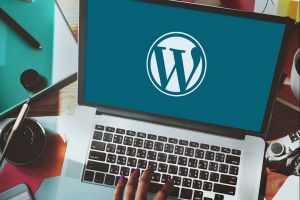 Best Practices for Securing Your WordPress Website in 2024