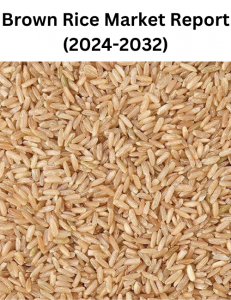 Brown Rice Market Insights: Strategic Growth and Trends 2032