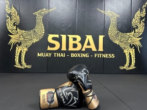 Beginner’s Guide to Muay Thai Fundamentals Training