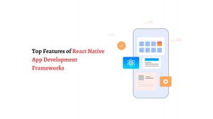 Top Features of React Native App Development Frameworks