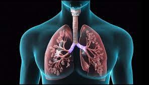 Chronic Obstructive Pulmonary Disease Market Research | 2024-2034