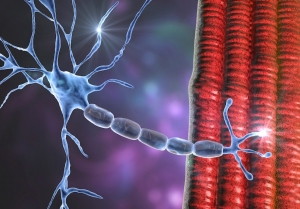 Amyotrophic Lateral Sclerosis (ALS) Market Growth, Forecast to 2034