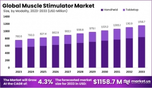 Muscle Stimulator Market Segmentation: Product Types and Applications