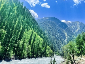 How to Preserve Saffron in Kashmir