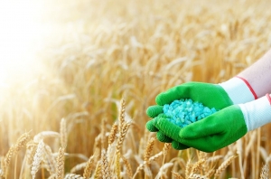 Controlled Release Fertilizer Market Size, Share, Demand, Growth, Forecast and Report 2024-2032