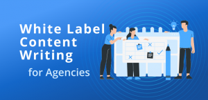 What to Look For in White Label Content Services?