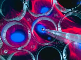 Stem Cell Manufacturing: Advancing Regenerative Medicine 