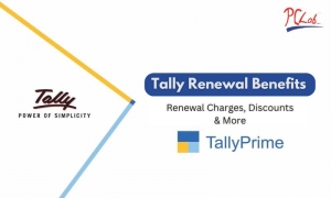 How to Find the Best Tally Software Price in India for Your Business