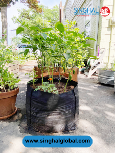 Durable Grow Bags: Enhancing Plant Growth and Sustainability