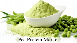 Pea Protein Market Size, Growth Analysis by 2032