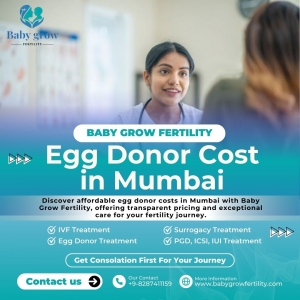 Egg Donor Cost in Mumbai: A Detailed Overview by Baby Grow Fertility