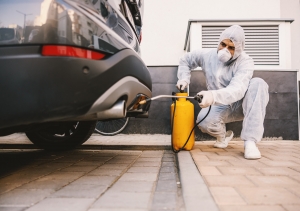 Your Guide to Melbourne's Car Pest Control Experts at Pest Control Works