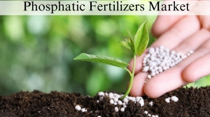 Phosphatic Fertilizers Market Size, Growth Insights and Forecast to 2032