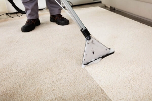 Key Reasons Why Carpet Cleaning Albuquerque Services are Crucial!