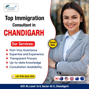 Comprehensive Immigration Solutions in Chandigarh