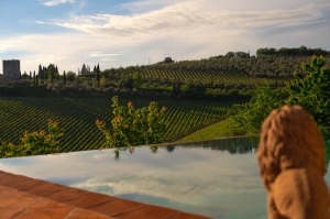 Top Travel Destinations with Spectacular Views 