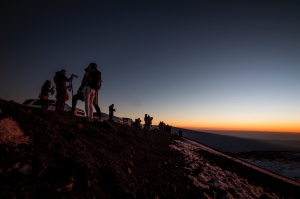 Genuine Hawaiian Experiences Perfect for Families 