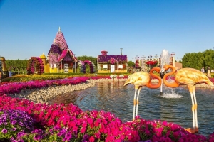 A Guide to Dubai Miracle Garden