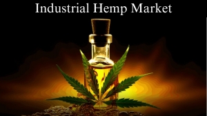 Industrial Hemp Market Size, Trends and Growth Forecast to 2032