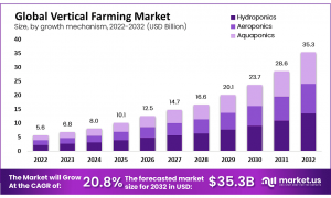 Vertical Farming Market: Pioneering Sustainable Agriculture