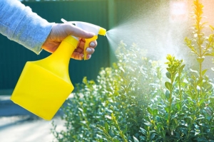 Natural Insecticides for the Home and Garden Market