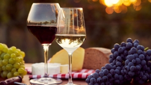 What is Wine Tasting in Fredericksburg All About?