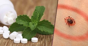 Lyme Disease Treatment Market is Witness Steady Growth Owing to Increasing Prevalence 