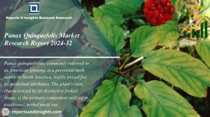 Panax Quinquefolis Market Size | Industry Forecast 2024-2032