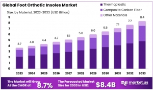 Foot Orthotic Insoles Market: Trends in Orthotic Insoles for the Elderly