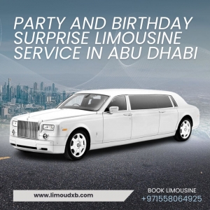 Dubai limousine service