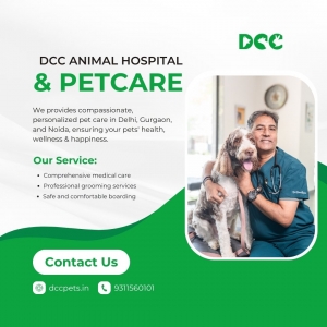 Grooming and Hygiene Services at Our Gurgaon Pet Clinic